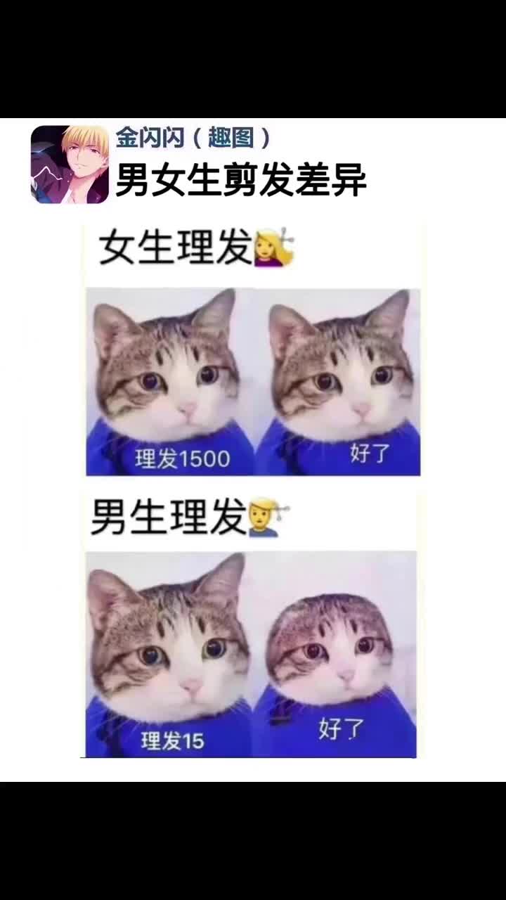 ⁣#人类迷惑行为 #金闪闪趣图