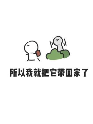 《喵》#少儿频道